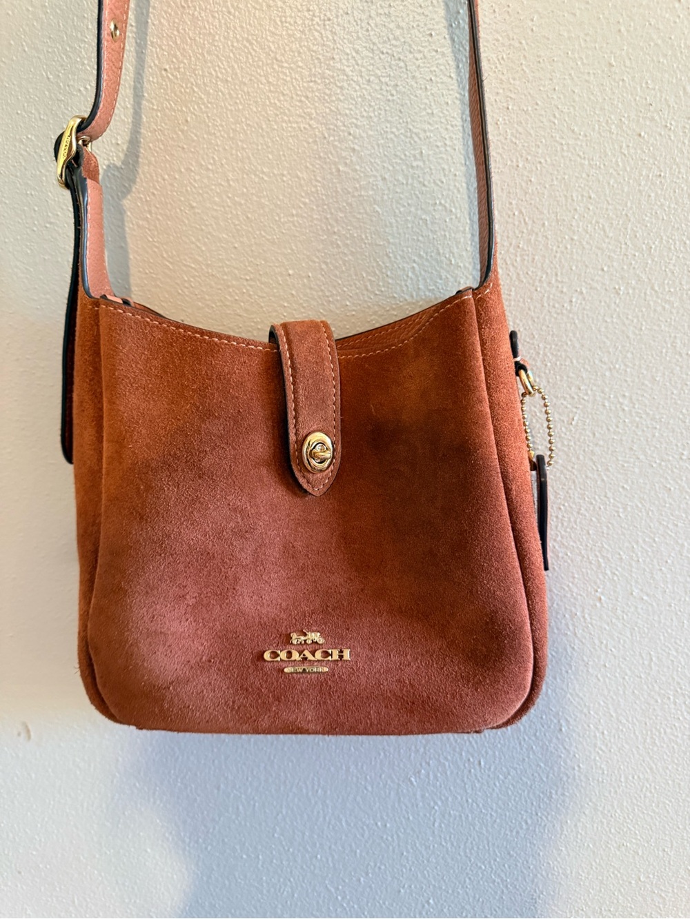 Coach Suede Hadley Small Crossbody Bag with Gold Hardware, Clay - Picture 4 of 8